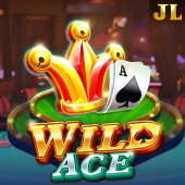 Wild Ace plus22 slot